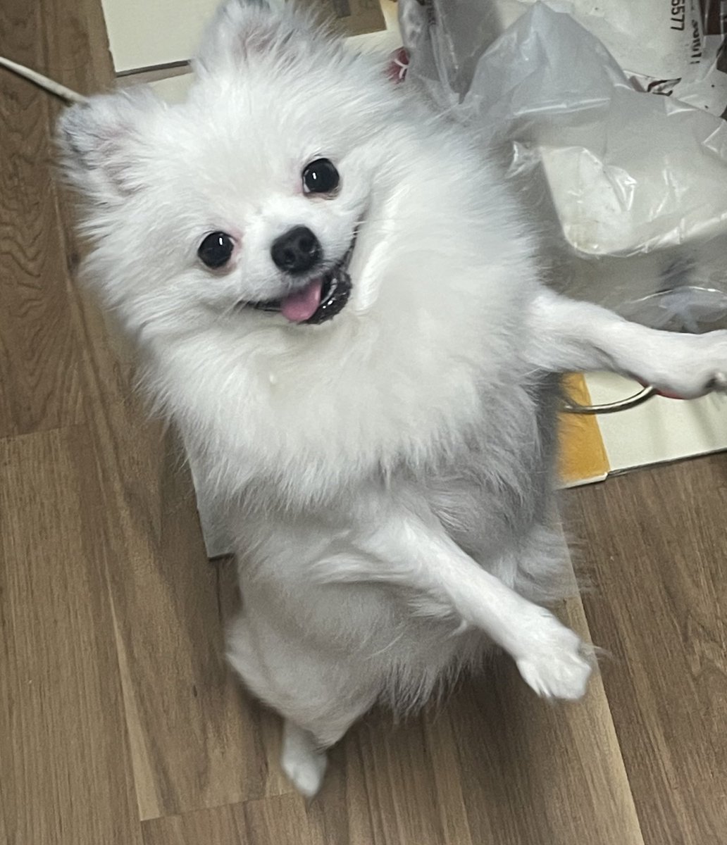 고구마를 사왔어요