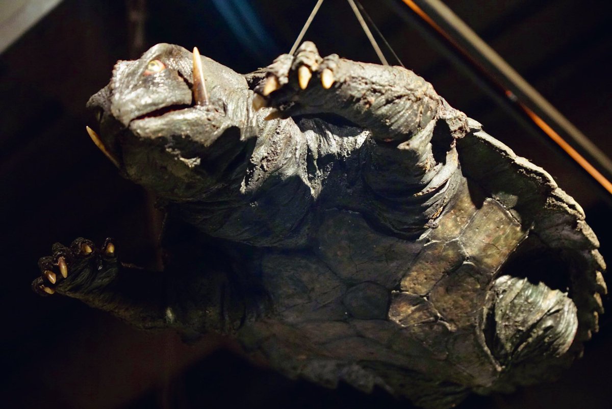 Kojima_Hideo's tweet image. 