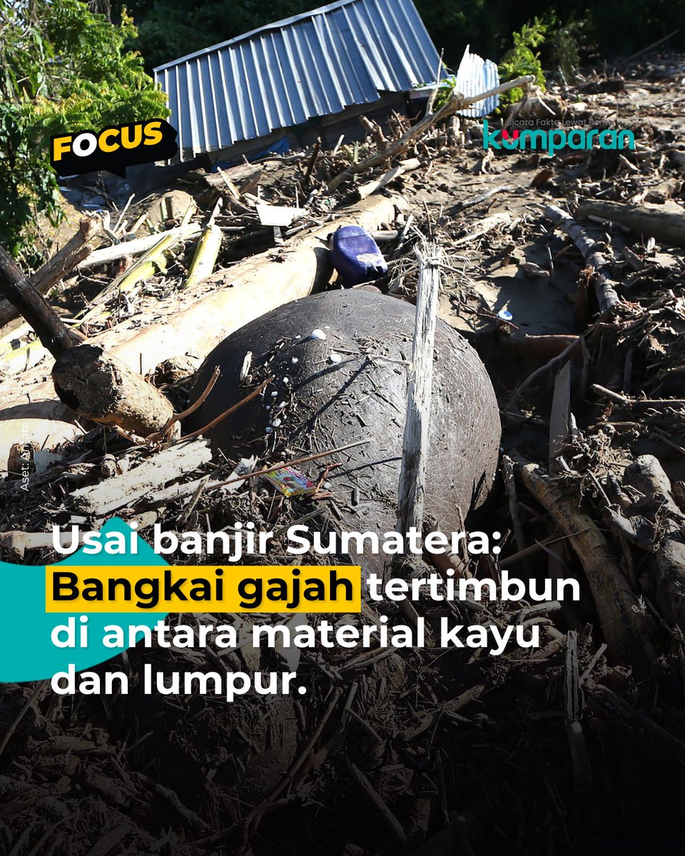 Spidro_Return's tweet image. Pejabat t*lol pasti bilang ini bukan karena pembabatan hutan