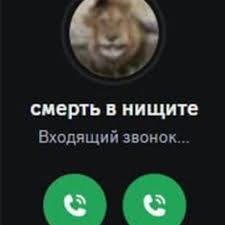 посидела пару дней на hh. по ходу реально найм В С Е