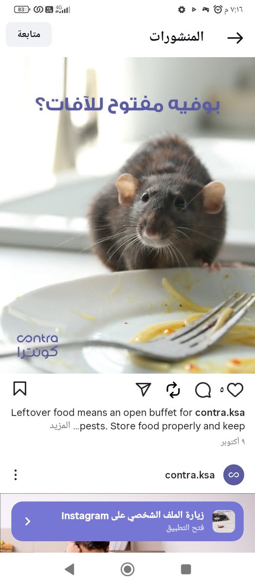 شركة مكافحة حشرات بالرياض 
رش مبيدات المانيه للقضاء على الصراصير الفئران البق الجراد البعوض البرص الحمام النامس بالدمام  بالخبر بالقطيف بالجبيل بالأحساء سيهات الظهران
تنظيف خزانات 
نقل عفش اثاث
#عودا_حميدا