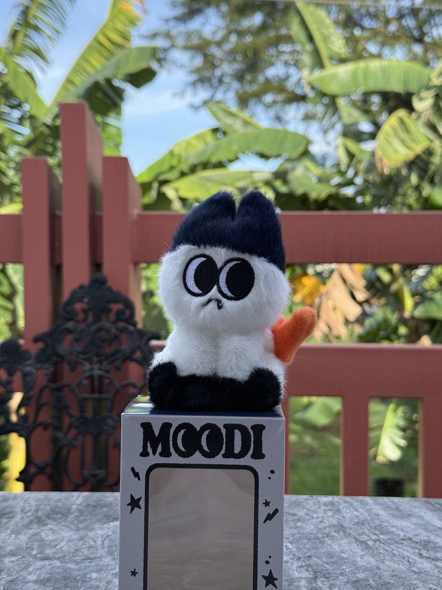 _wwdz's tweet image. Moodi is home!!!! Thank you @tinncollects (𓂂꜆◕⩊◕꜀𓂂)

#tinnproofs
