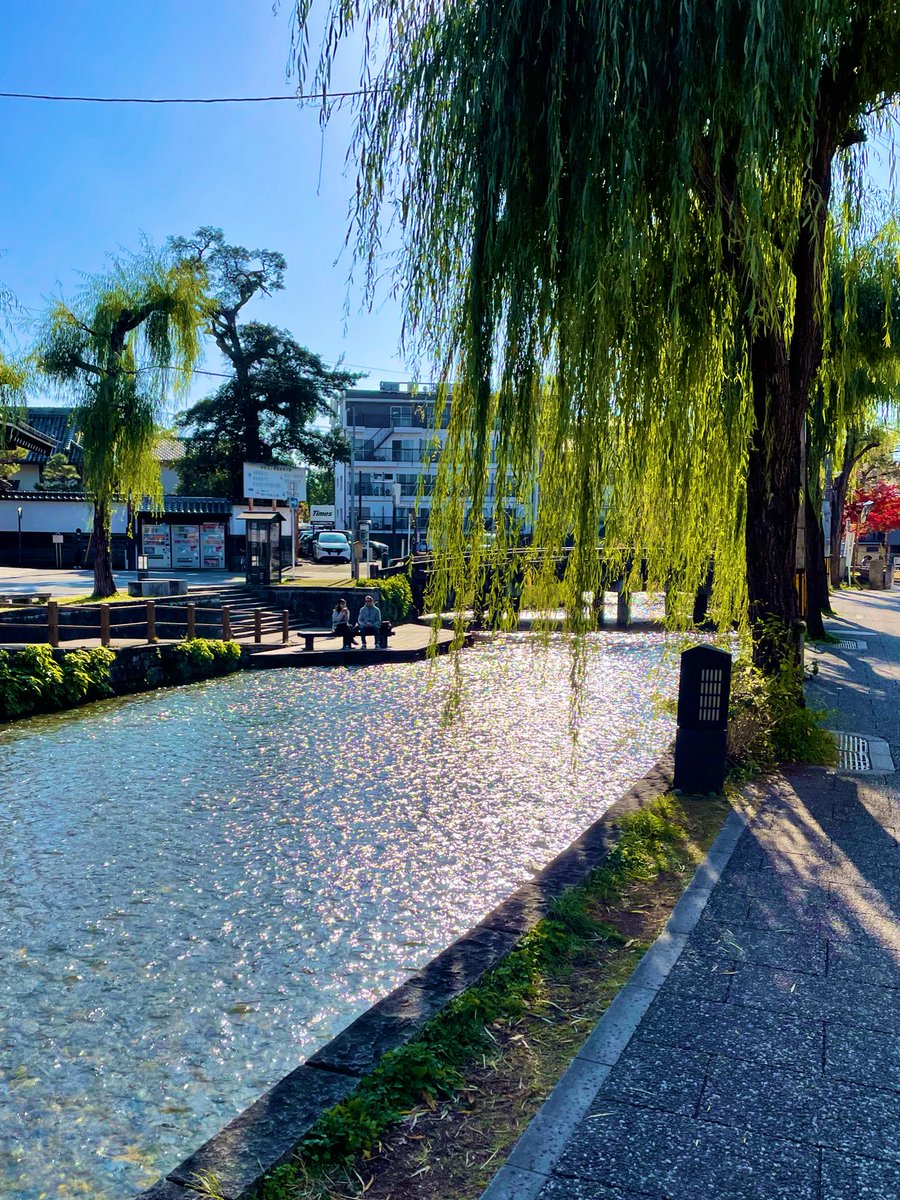 upaaan's tweet photo. 所用で京都に行ったのでついでにフラフラしてきたけど本当に中国人は少なくなってた
でもこの時期なので普通にありえんバカほど混んでいます https://t.co/dGBHPbmNKY
