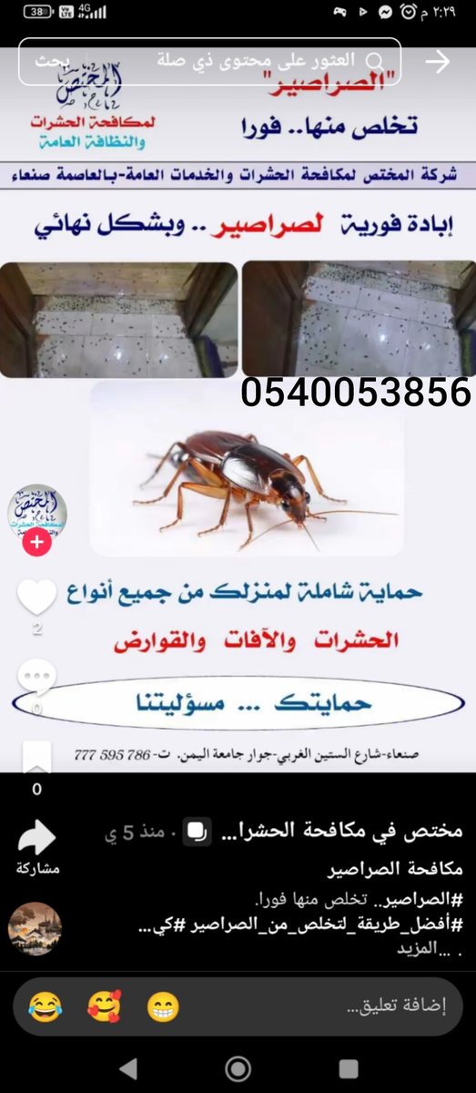 كافح حشرات منزلك وحافظ على صحة اسرتك مع أفضل شركة مكافحة حشرات رش مبيدات الحشرات بالرياض بأعلى درجات الخبره والكفاءه رش مبيدات الحشرات بأقل الاسعار مكافحة حشرات نمل صراصير بق فراش وزغ بورص عقارب فئران رش مبيد حشري دخان الناموس الزباب الجراد النحل
تنظيف خزانات 
#الهلال_الفتح