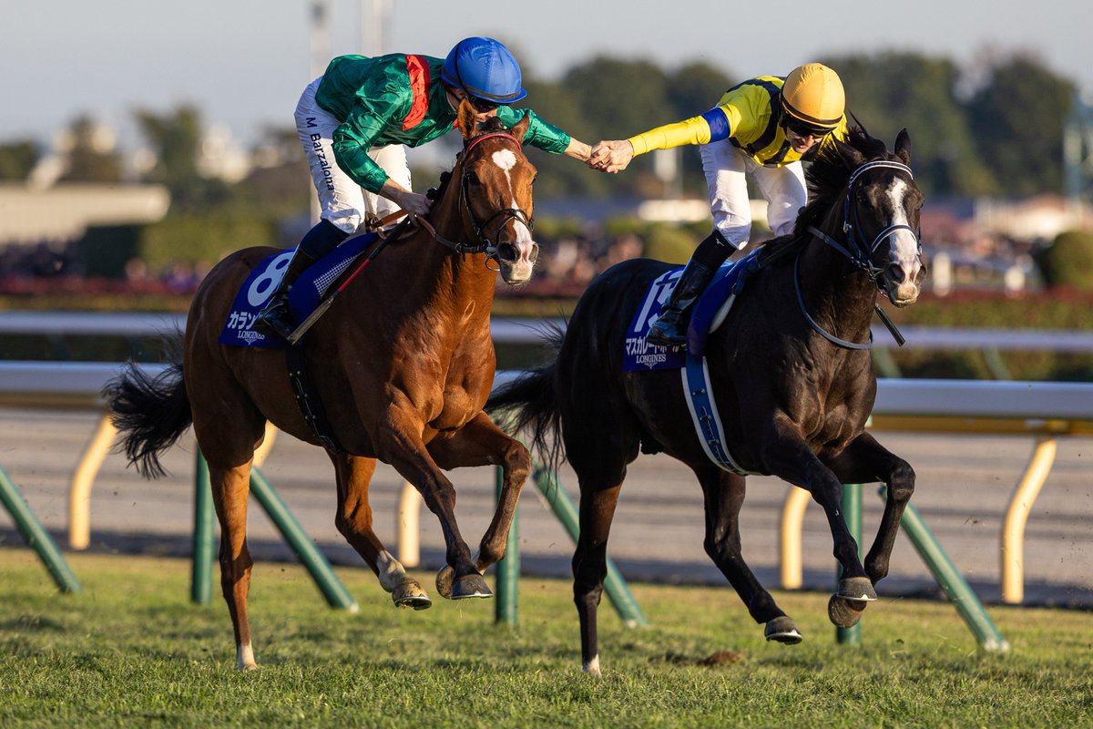 ﾌﾝｷﾞｬﾛ (@fungyaro0323) / Posts / X