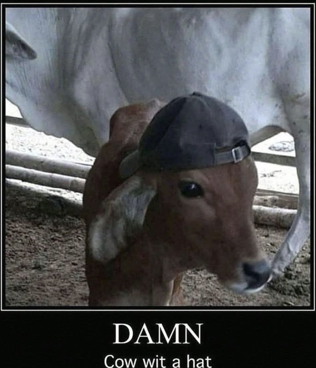 insane poses (@insaneposes) on Twitter photo 