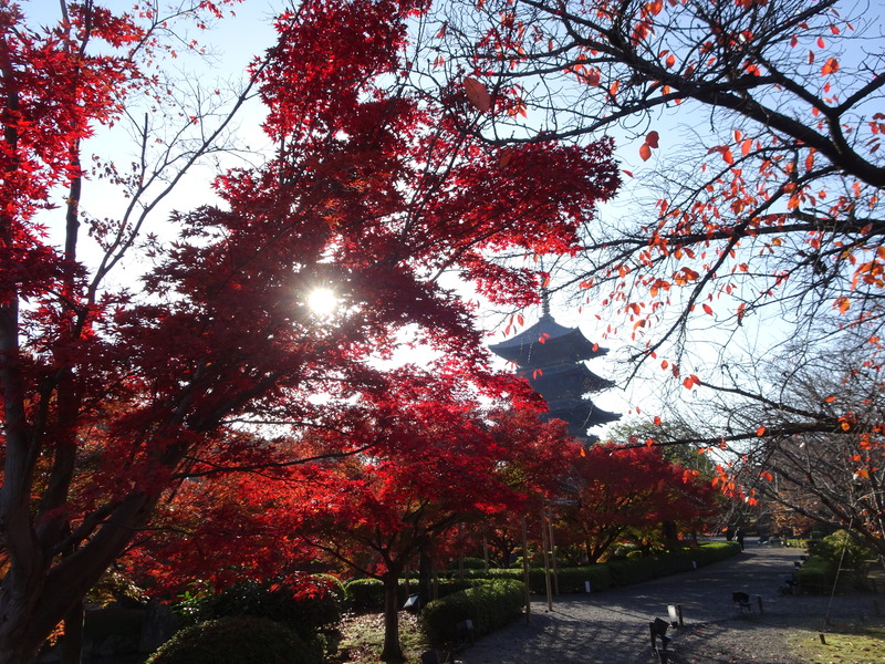 11月を写真4枚で振り返る 富士山何度も見られてよかった🗻