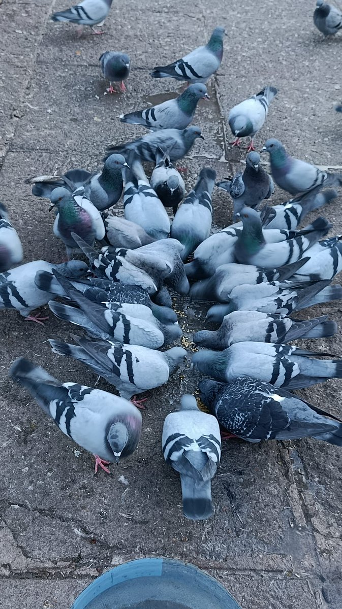 Kavga etmek yerine paylaşmayı bilseydik hepimiz kardeştik...
#Pazar