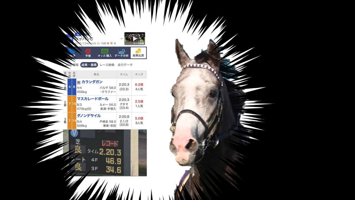 アドマイヤテラ「信じてください、
僕は確かに世界レコードで駆け抜けたはずなんです
なのに着順掲示板に僕の数字はありませんでした
これはどういうことなんですか？
唯一思い当たることは妙に背中が軽かったことです」