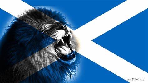St Andrew’s Day. 🏴󠁧󠁢󠁳󠁣󠁴󠁿