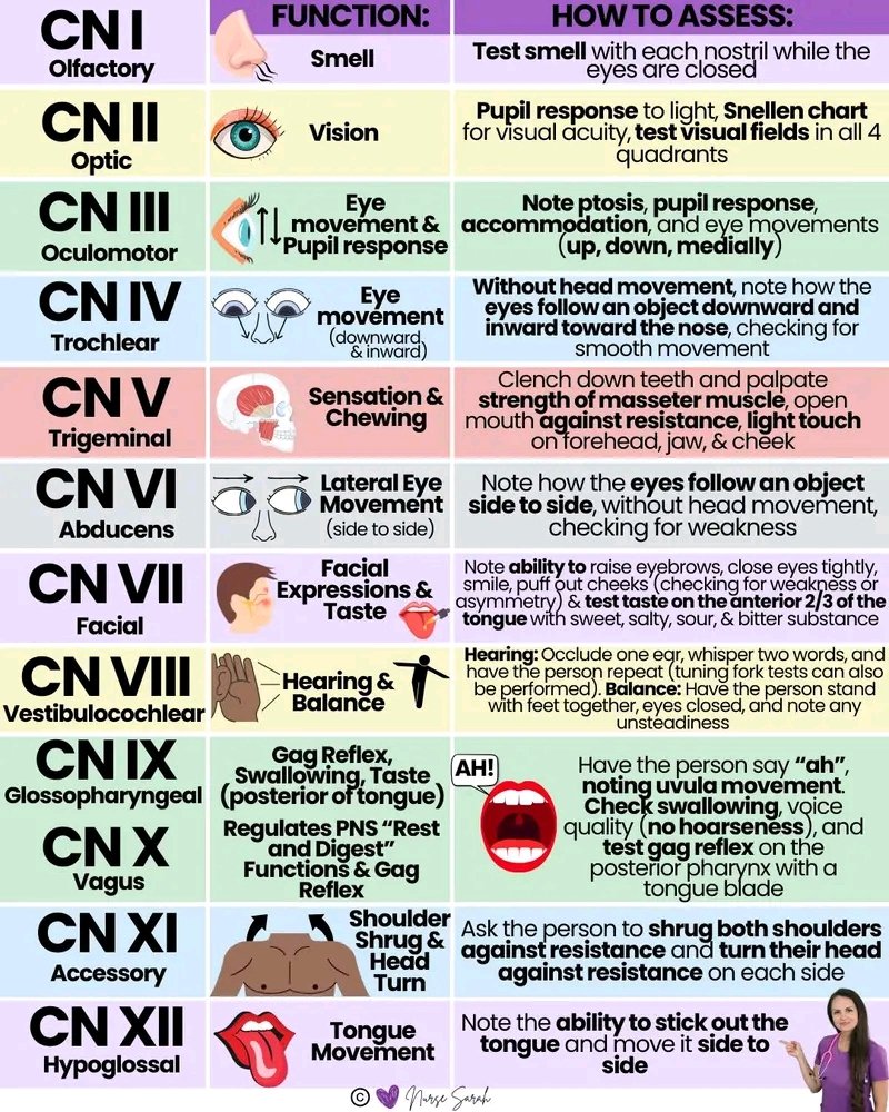 Doctors_GUILD's tweet image. Cranial nerve examination