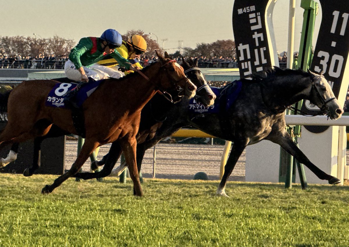 agentes305's tweet photo. CALANDAGAN 🇮🇪 holds Masquerade Ball 🇯🇵 to win the G1 JAPAN CUP 2025, ridden by Mickael Barzalona for trainer Francis Graffard and the colors of @agakhanstuds in record time of 2:20.3
CALANDAGAN 🇮🇪 contiene a Masquerade. Ball 🇯🇵 para ganar la JAPAN CUP G1, primer ejemplar extranjero en ganar esta carrera en 20 años! Monta de Mickael Barzalona para la cuadra de @graffardracing y los colores clásicos del Aga Khan Studs, tiempo record de 2:20.3
📸 Agentes 305