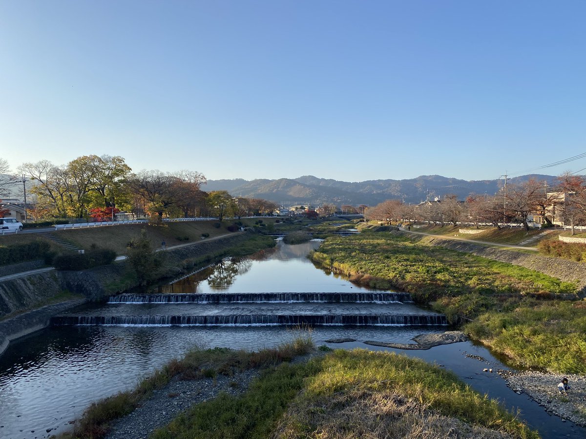 kamokamokai's tweet image. 今日の賀茂川。
2025年11月30日
#Kyoto #kyokamo #鴨川 #京都