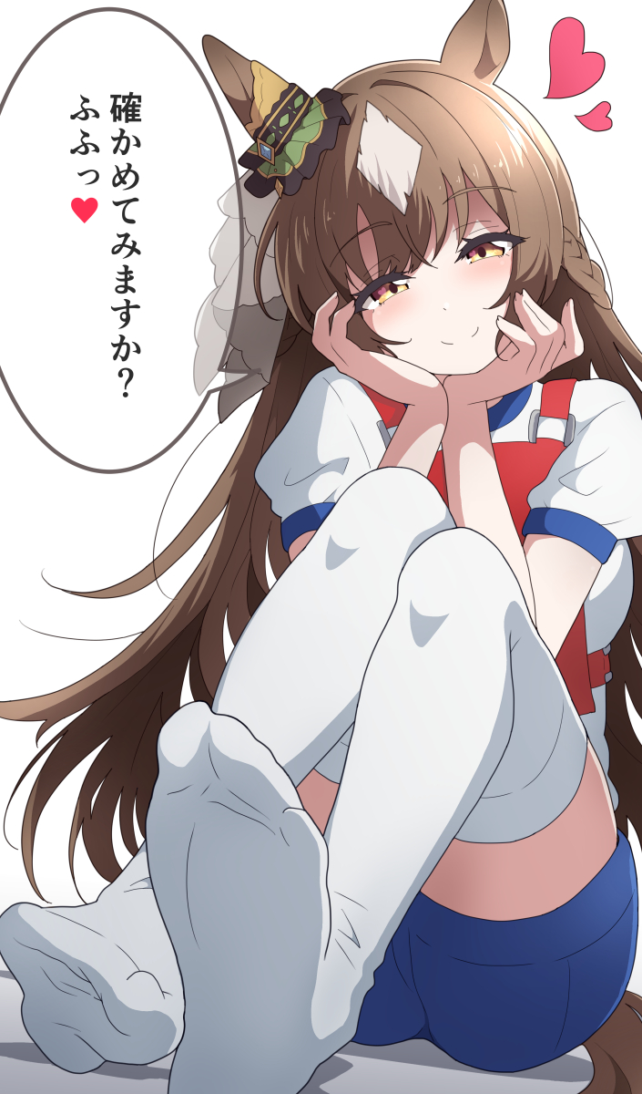 ダイヤちゃんの脚の状態をチェック🔍