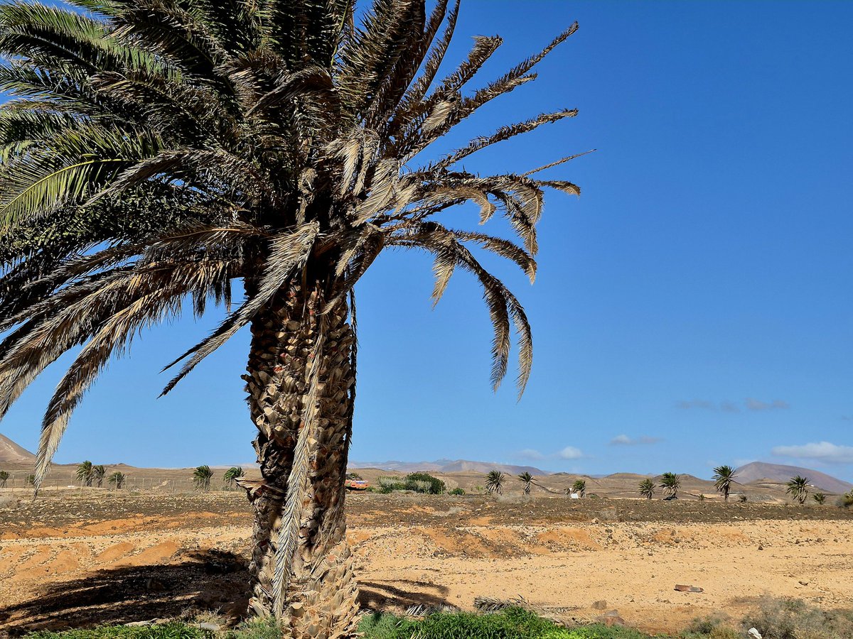 Tim Thorley 🇪🇺🇬🇧🇺🇦🚴🥃 tweet media