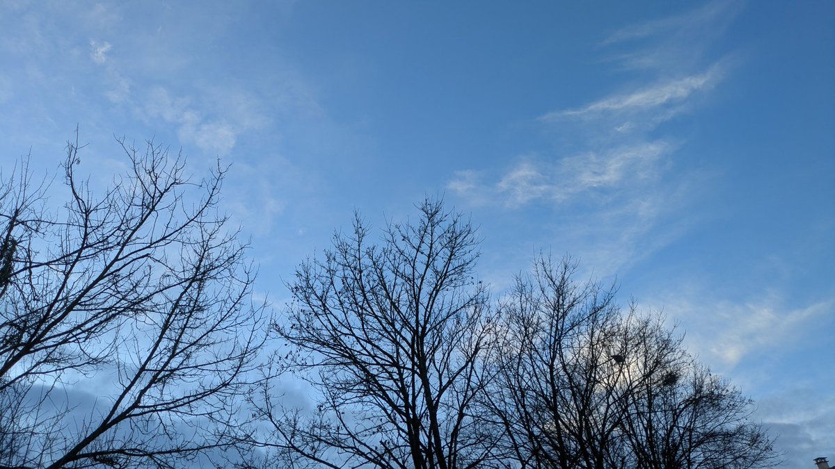 Bon dimanche la TL 🤗