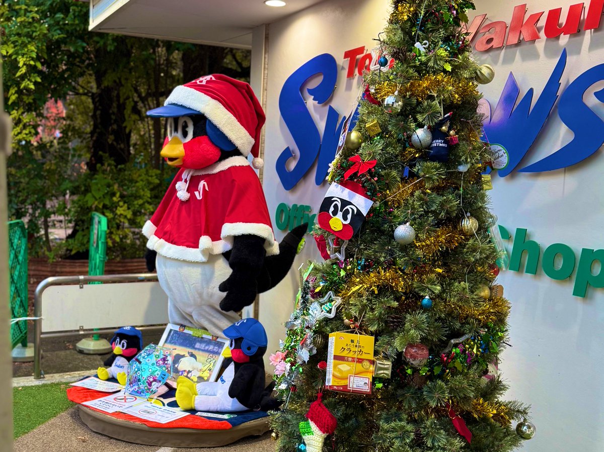 TSUBA_ch2020's tweet image. スワローズグッズショップつば九郎店が、本日最終日だったので、行ってきました🥹
つばちゃんが、ツリーと一緒にお出迎え🎄
沢山のお客さんで、本当に愛されてたお店だったなと思いました🥹
本当に今まで、ありが10☺️
すたっふ〜の皆様も本当にありがとうございました🥹
#swallows
#つば九郎
#ありが10