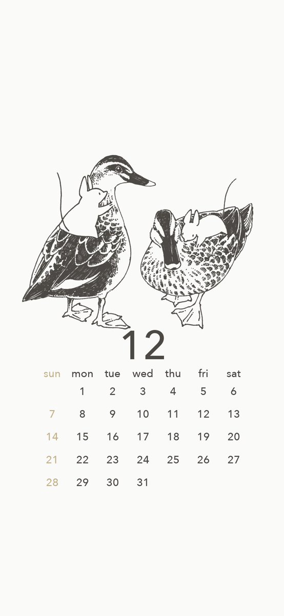 12月のスマホ壁紙カレンダーを作りました。近くの川にカモたちがやってきているようなので、近々見に行きたいな！という気持ちが詰まった絵です🦆🐁お好みに合いましたら個人使用の範囲でお楽しみください🌿