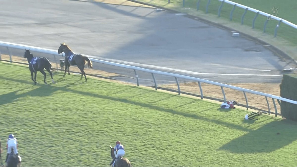 teppeiyoshizumi's tweet image. 笑っちゃいけないけど
絵面がシュール

#ジャパンカップ