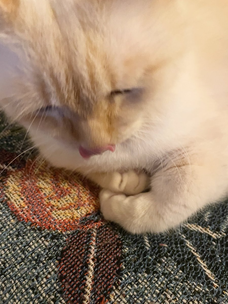 おりたたみおてて