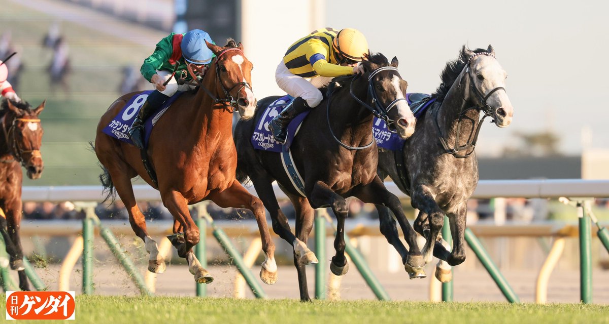 （6月VIP 10%off中） nonnonです❣️0531 ぽんちゃん🍃💚 (@pon0613_kztkm) / Posts / X