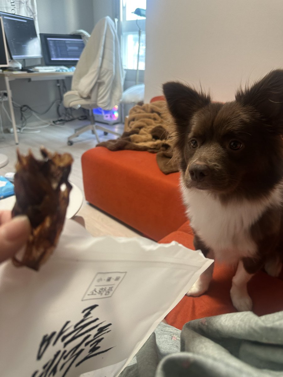 진짜 죄송한데 제꺼예요 화이트초코라떼말랑밤팅씨