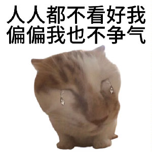 作业借你抄 tweet media