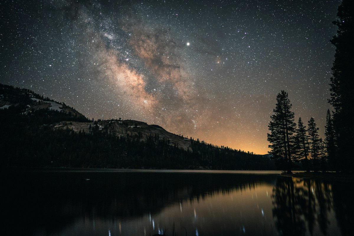earthcurated's tweet photo. Whispers of nature https://t.co/ZWLV3Qp05P
