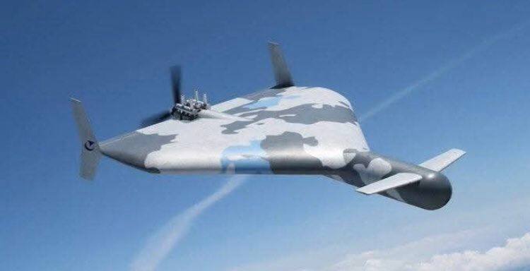 IranNewsJa's tweet image. 🎦エジプトの防衛産業は、🇮🇷イランのシャヘド136を明らかに基にした国産版「ジャッバー150」自爆型ドローン🛩️を公開した。

#エジプト #イラン  #Shahed136