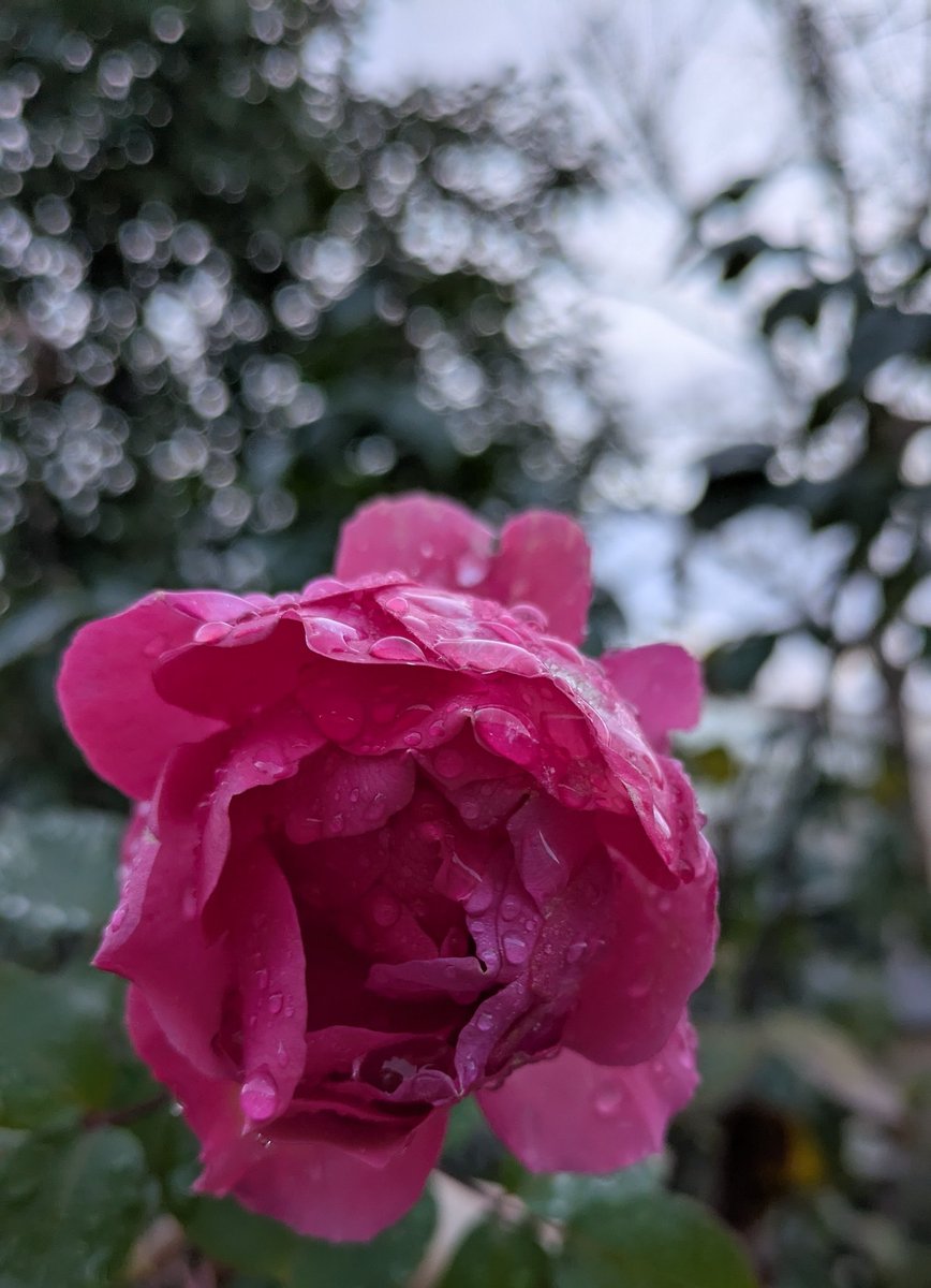 Toujours des pensées à <a href="/Nath18083415/">Nathala</a> 💚