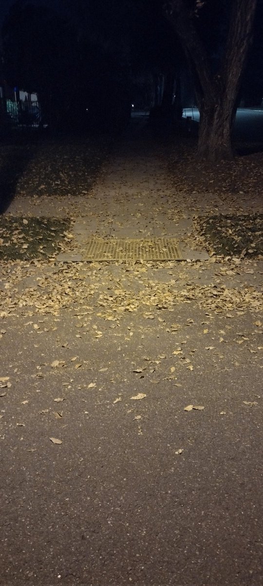 GameDevJared89's tweet image. 