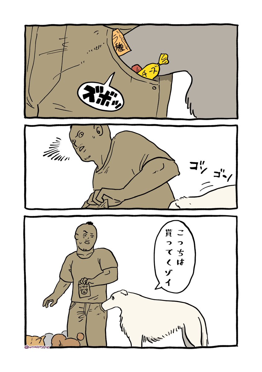 見逃さないゾイ