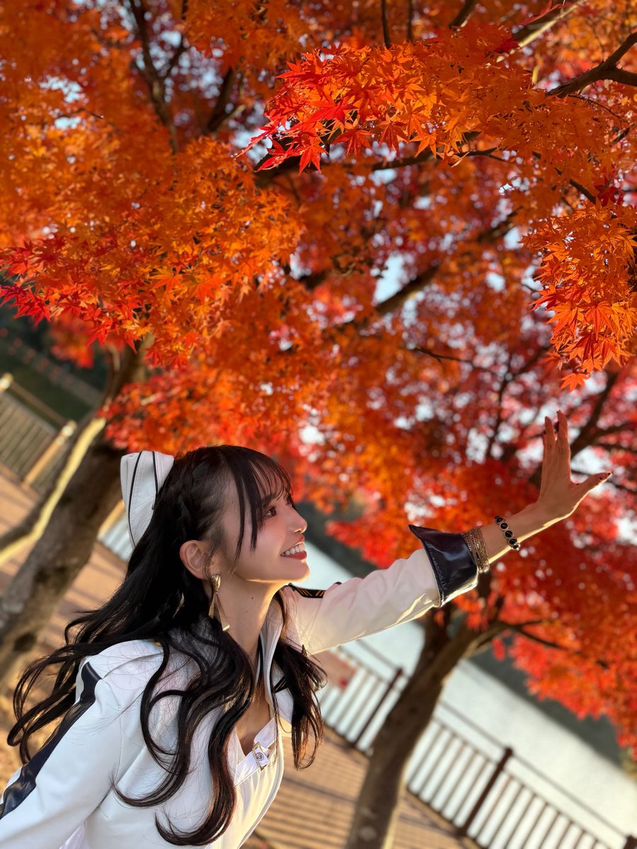 moto730r🦋 (@moto730r) / Posts / X