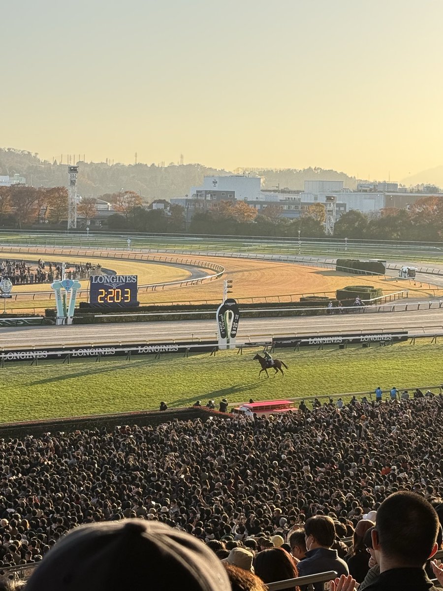 yu_ki_chi___'s tweet photo. 現地競馬無事に5万勝ちで終了、バルザローナに負けないくらい10Rのミュラーがカッコよかったです
あとサメカツ京阪杯なにしてくれとんねん、なんでこの印で外さなあかんのや https://t.co/fKQVlShoVD