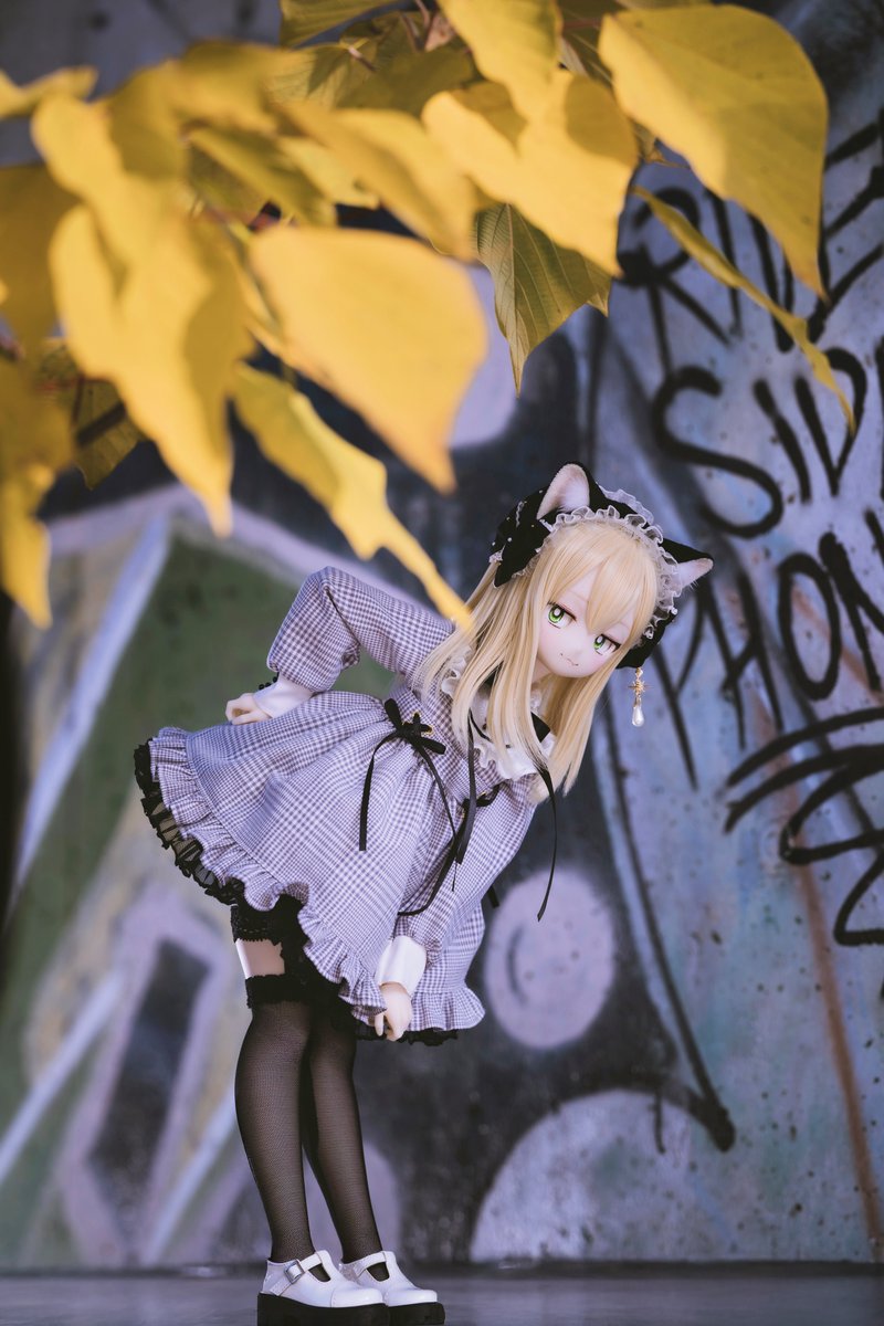 shiitake028's tweet image. ちょっと前の葉っぱが邪魔なんですけど…

#ぽもろこ 
#ナナイロテントウ 
#EMMAのカチューシャ