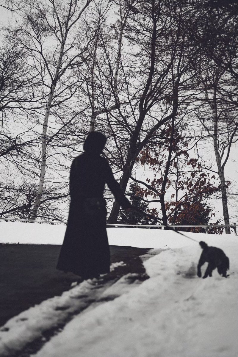 サンガンニューアングラーＫ３ tweet media