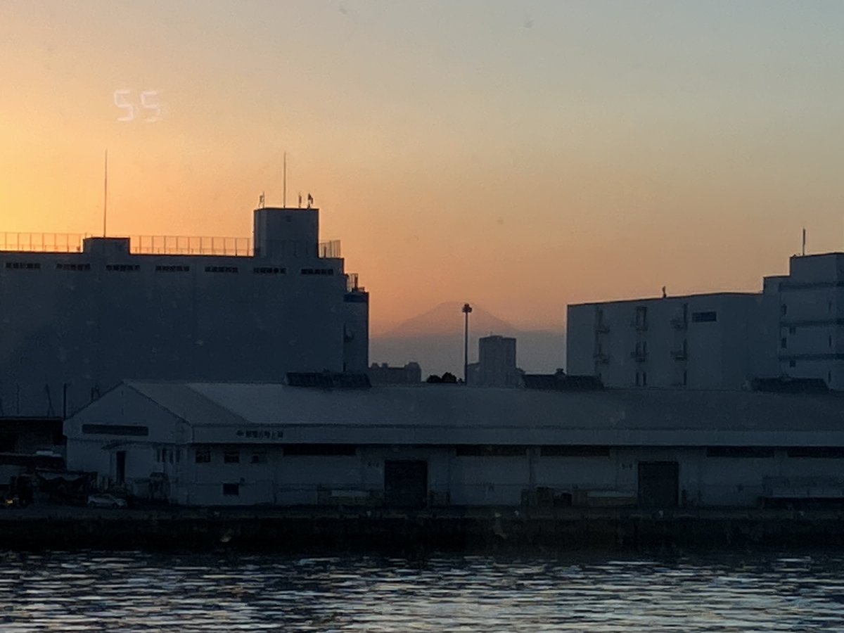 コハル商店 tweet media