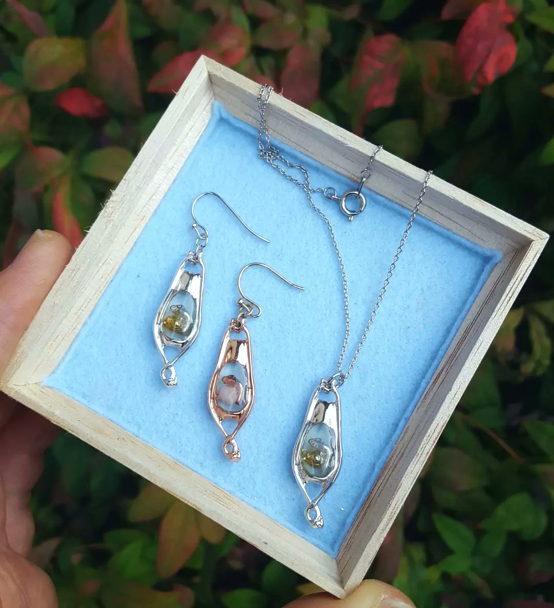 6＊umi(むつうみ) 博物クリスマス 土曜のみB52 (@chiku_umi_6