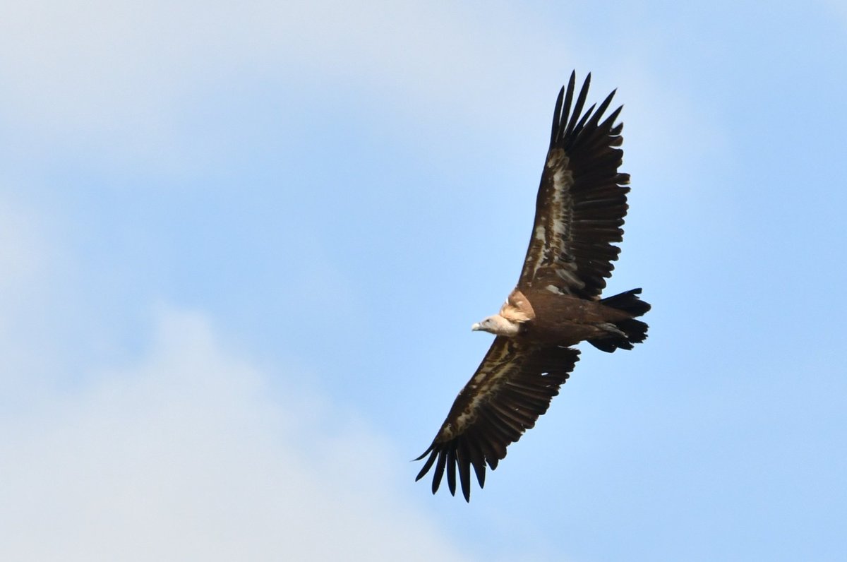 J@a.p (@jose_ap19) on Twitter photo 