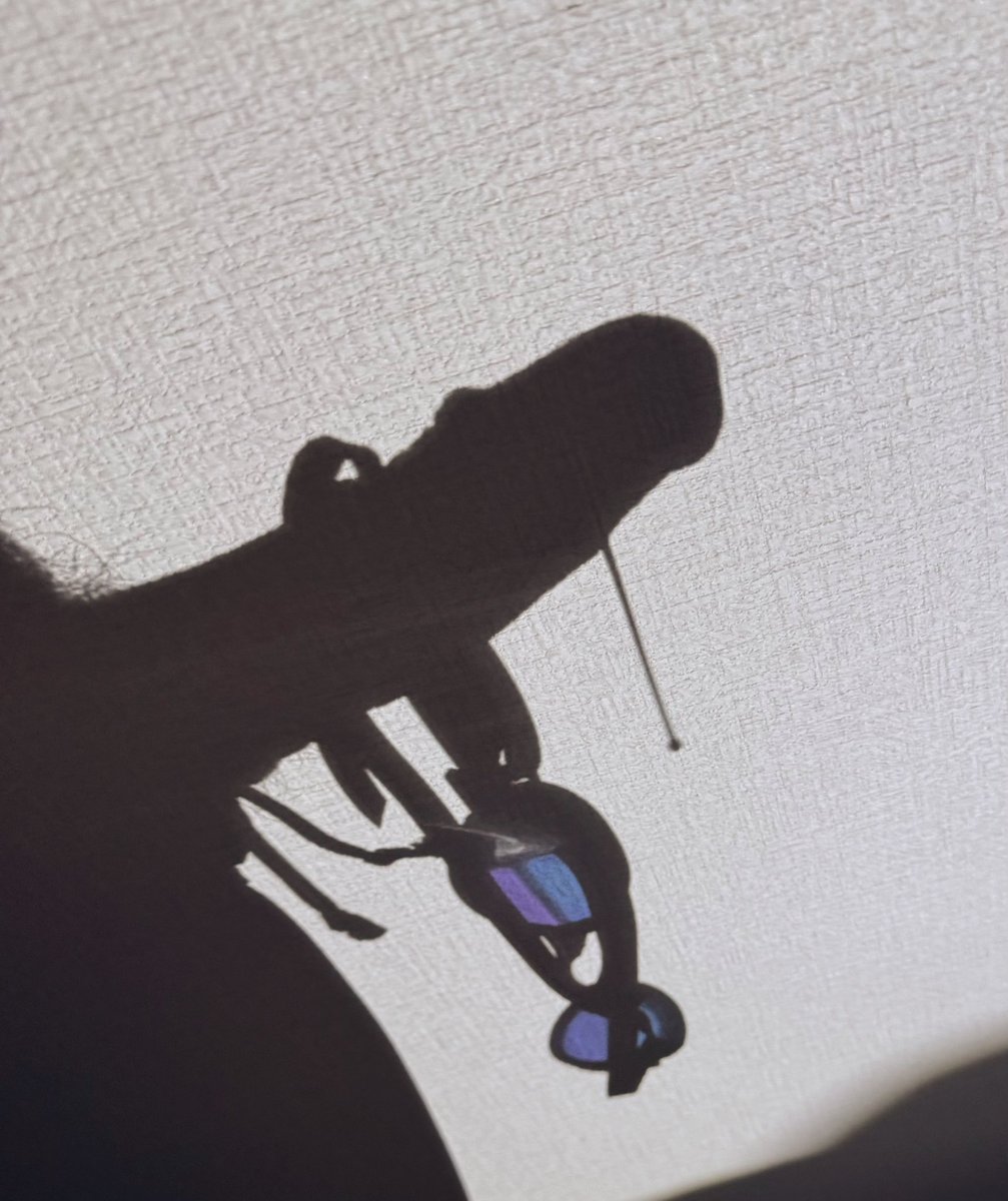 11/30.   This is the shadow of my goggles and a drop of water.

訳:これは(残酷な物干し竿に吊るされた)ゴーグルと水滴の影です😇

今年も…皆さんの立派な画像が悪い！👀