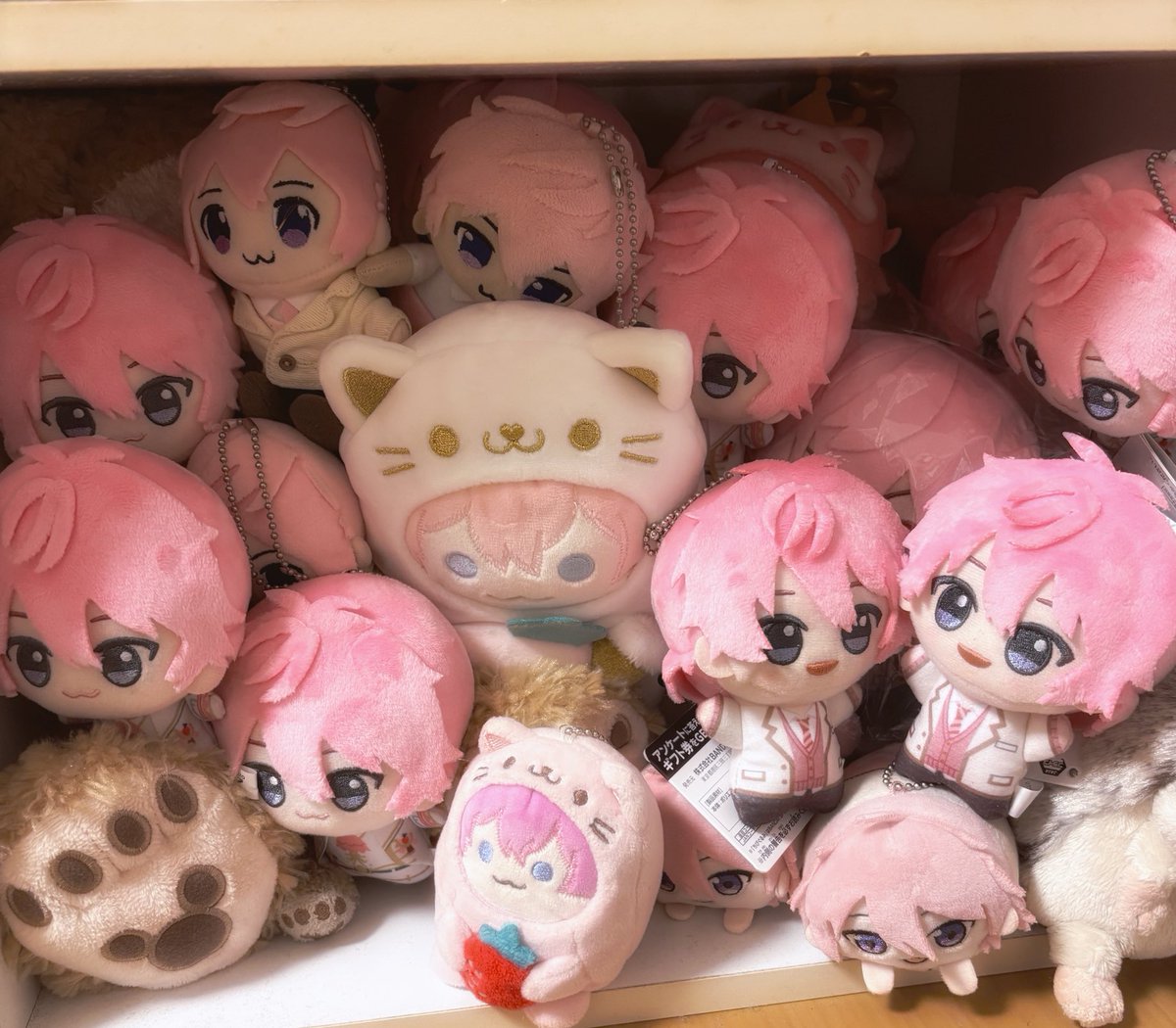 新しいさとみくんのちびぬいちゃん取ってきたからぬいちゃん置き場に