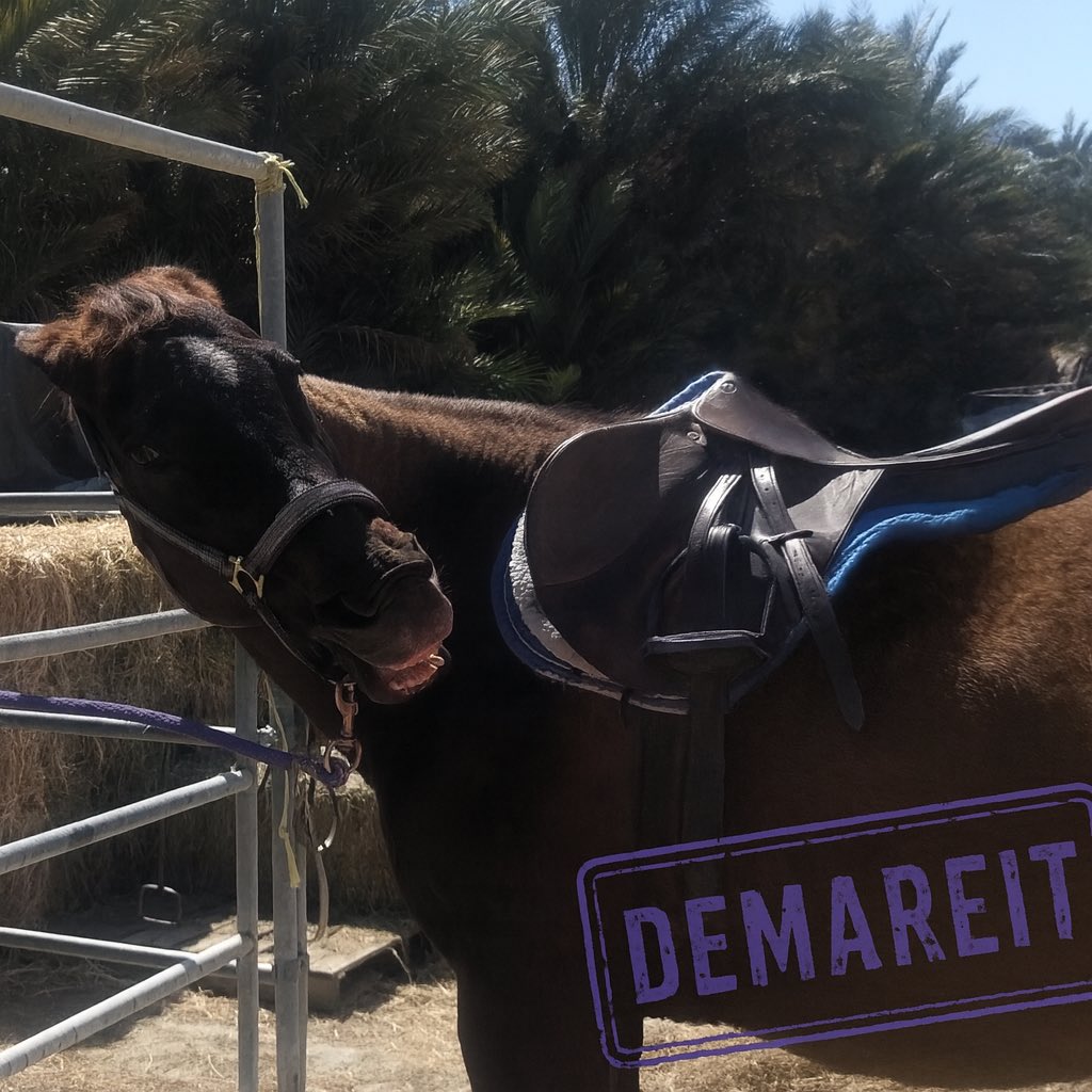 nikisuv's tweet image. @GloriousAllianc 

#DailyCornucopia 

Introducing the #DemareitStamp.  IYKYK.