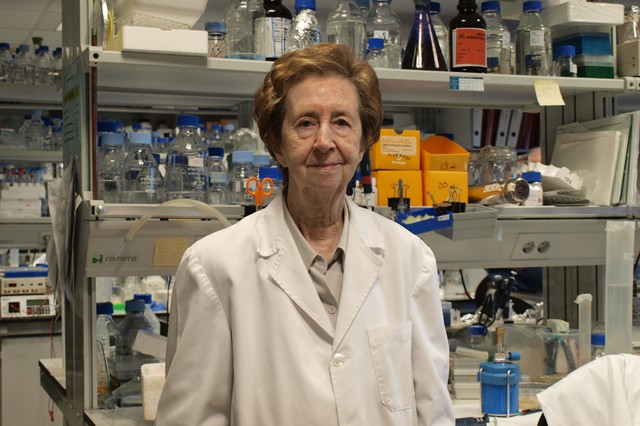 "De joven era discriminada por ser mujer, hoy por ser mayor. (...) Lo importante es no tener arrugas en el cerebro".

Margarita Salas (30.11.1938 - 7.11.2019)