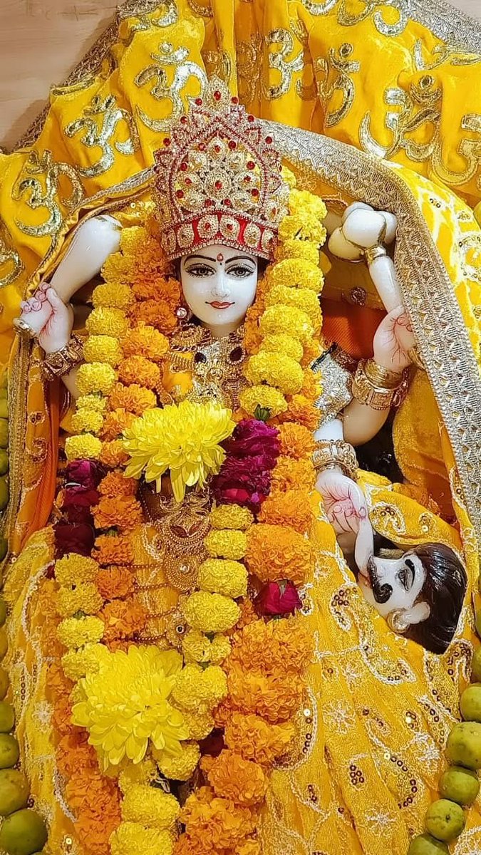 There are only three shortcomings in life: Daaridrya (poverty), Dukha (sorrow), and Bhaya (fear). If Maa Baglamukhi is pleased, all these things will be fixed.