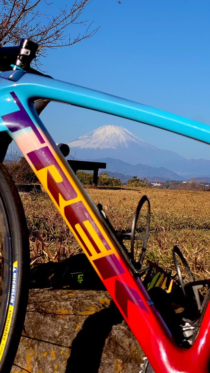 yoshikoderosa's tweet image. ふじ〜