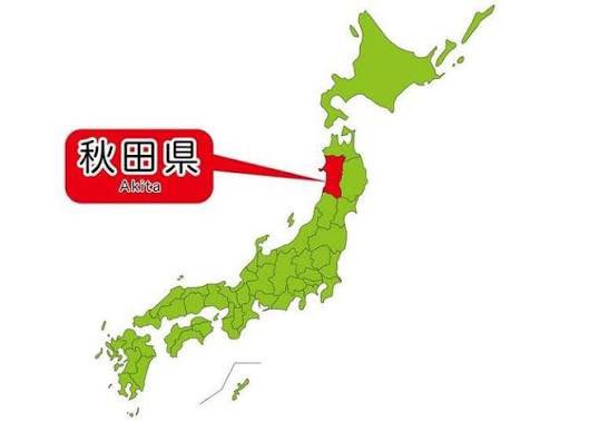 CAG / にこちゃん＠ tweet media