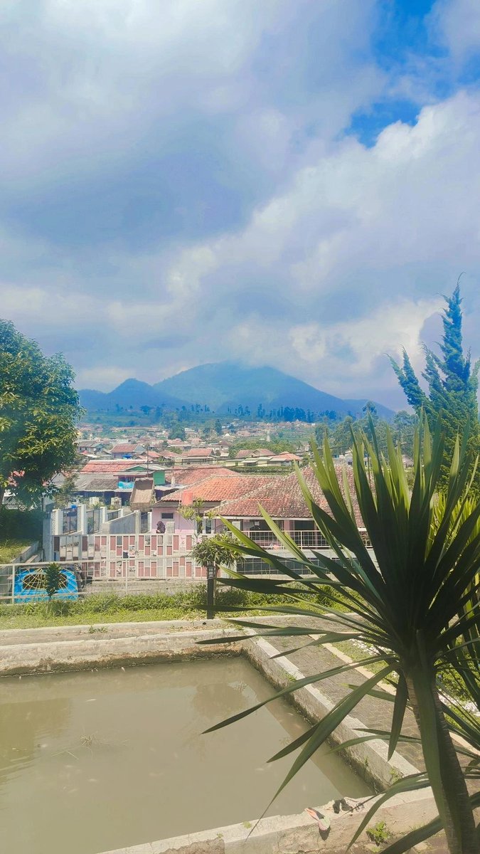 nosugarplease__'s tweet image. cantik sih.. MACET ANJ