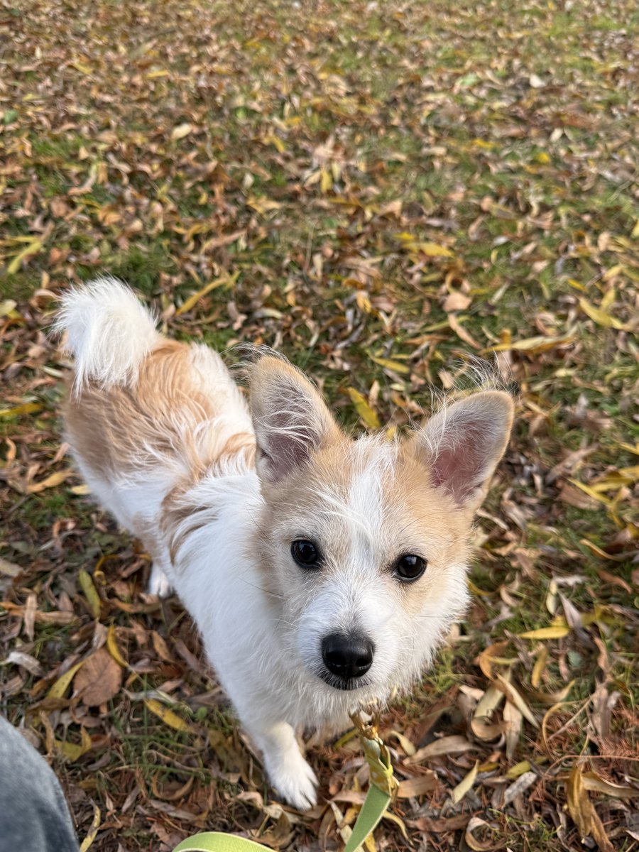 망고야 오늘같은 날씨 이제 없나봐 오늘을 즐겨라