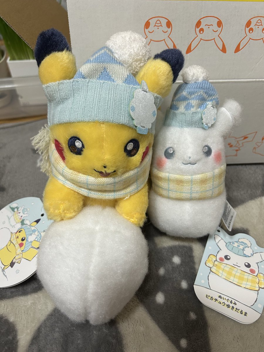 雪だるま⛄❄ピカチュウ⚡🐭💛 届いてんけどかわゆすぎる🥹💙💙