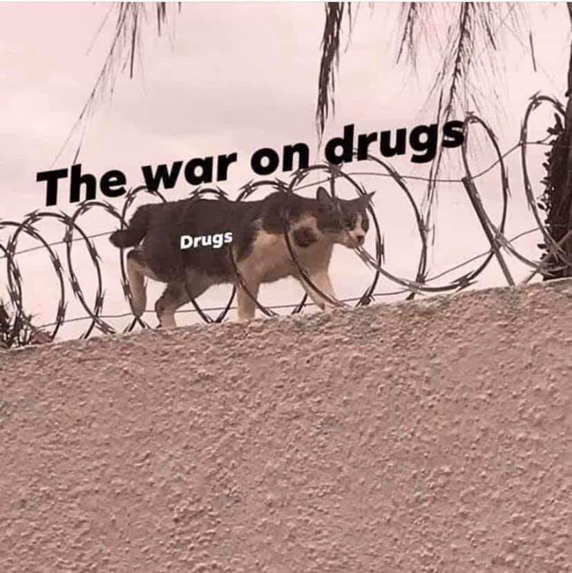 MukeetTheMod_el's tweet image. &apos;MER¡CA🇺🇸 is on the other End of the Fence [that it purposely built faulty] going:

&quot;Ppspsps🤌🏻💊💉&quot;